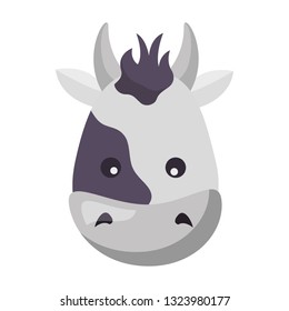 cow face animal
