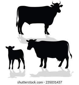 Cow Family Silhouette With Shadow