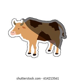 Cow farm animal
