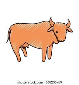 Cow farm animal