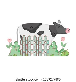 cow farm animal with garden and fence