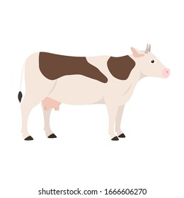 cow, farm animal. Isolated vector illustration