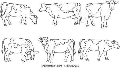 Cow, farm animal line icon.