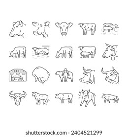 cow farm dairy cattle milk white icons set vector. agriculture nature, livestock grass, beef field, pasture animal, meadow calf, summer cow farm dairy cattle milk white black contour illustrations