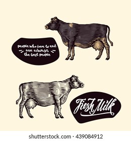 Cow farm design template. isolated objects. lettering elements