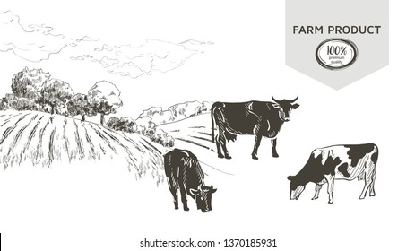 Cow farm in graphic line style, hand drawing vector image