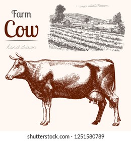 Cow and farm. Hand drawn vector illustrations