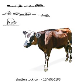 cow and farm illustration vector