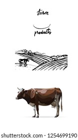 cow and farm illustration vector farm products