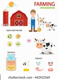 Cow farm infographics,illustration vector.