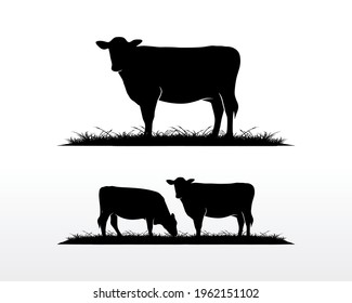 Cow farm Logo. Vintage Cattle Angus Beef logo design vector