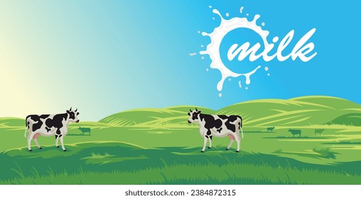 Kuhfarm, die natürliche Milch im Hintergrund einer schönen Landschaft erzeugt