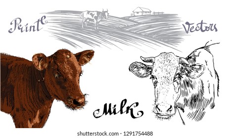 cow, farm products, milk, logo, silhouette, vector