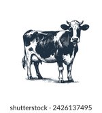 The cow of farm. Vector illustration.