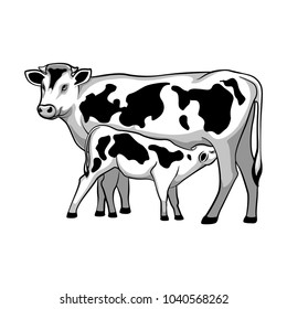 Cow feeds calf. Vector illustration.