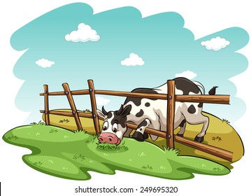 A cow at the field on a white background