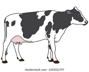 Vaca de diseño plano sobre fondo blanco