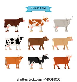 Cow Flat Icons. Vector Cows Of Different Colors