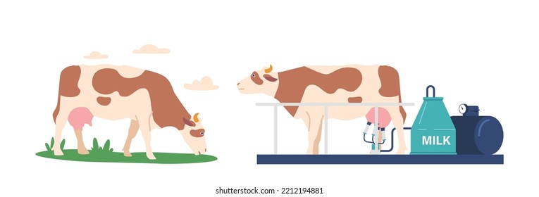 Cow Gazing on Field, Automated Milking Process on Factory or Plant. Industrial Stages of Dairy Organic Natural Food Production, Husbandry and Farming Industry. Cartoon Vector Illustration