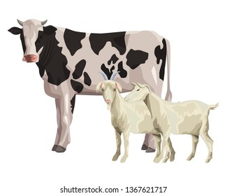 cow and goat