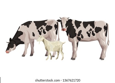 cow and goat