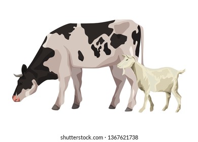 cow and goat