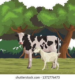 cow and goat