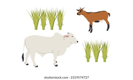 Cow and Goat are animals that are usually used as livestock. Apart from that, during the Eid al-Adha holidays, they are also used as sacrificial animals.