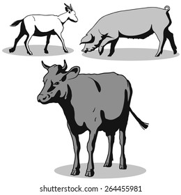 Cow, goat, pig. Vector. Black, gray, white.
