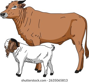 Kuh- und Ziegenvorlage für Eid al Adha. Idul Adha Qurban und Landwirtschaft Thema. Eid al Adha Illustration.