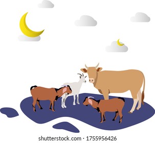 Cow, Goat, White Goat, in Eid Al Adha and Moon