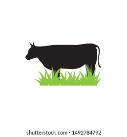 Cow graphic design template vector isolated illustration