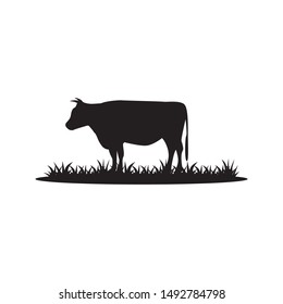 Cow graphic design template vector isolated illustration