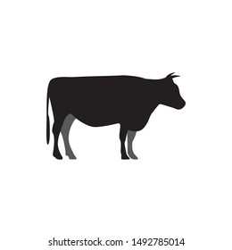 Cow graphic design template vector isolated illustration