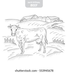Cow in a graphic style, hand-drawn vector illustration.