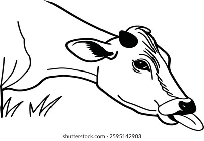 cow grass in the field