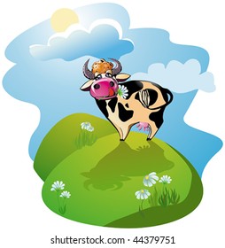 cow grazes in a meadow with daisies