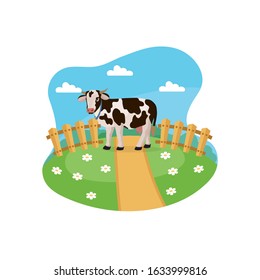 Cow grazes in a meadow with daisies. Vector illustration can use for banners, poster, flyer, label, card.  