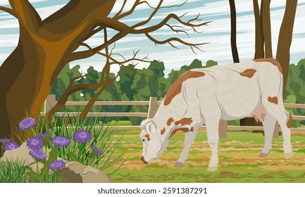 The cow grazes on a fenced autumn field. Farm and farm animal. Realistic vector landscape