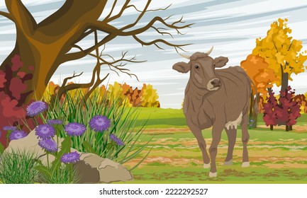 Las vacas pastan en el campo en otoño. Granja y animal de granja. Paisaje vectorial realista