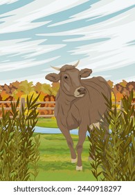 The cow grazes on the field in autumn. Farm and farm animal. Realistic vector vertical landscape