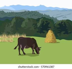 Cow grazing in the meadow. Vector illustration