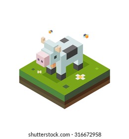A cow grazing on the field. Vector flat illustration isometric style