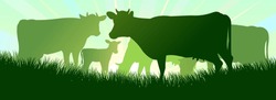 Cow Grazing On Pasture Grass. Picture Silhouette. Farm Pets. Animals For Milk And Dairy Products. On Background Sunrise. Vector.