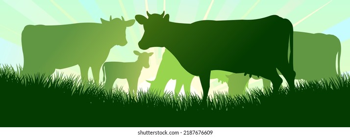 Cow Grazing On Pasture Grass. Picture Silhouette. Farm Pets. Animals For Milk And Dairy Products. On Background Sunrise. Vector.