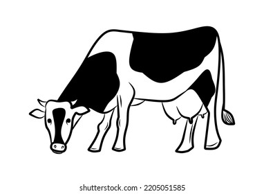 Cow is grazing vector illustration