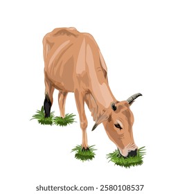 a cow is grazing without a background