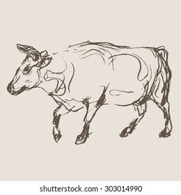  Dibujo de la mano de vaca, vector