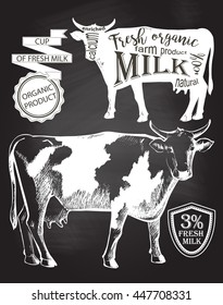 Cow. Hand drawn. chalk drawing on the blackboard vector illustration