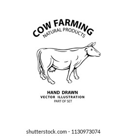 Cow. Hand drawn cow vector illustration.
Cow sketch engraving style drawing. Cow logo design template.